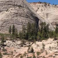 Cross-Bedded Sandstone in Utah